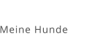 Meine Hunde