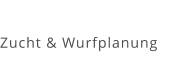 Zucht & Wurfplanung