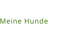 Meine Hunde