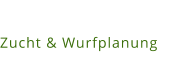 Zucht & Wurfplanung
